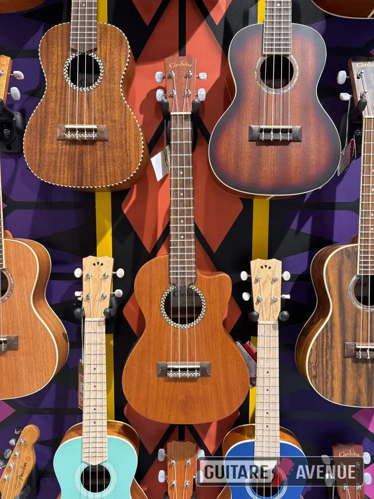 Cordoba Ukulele 20Tm Ce Ukulélé