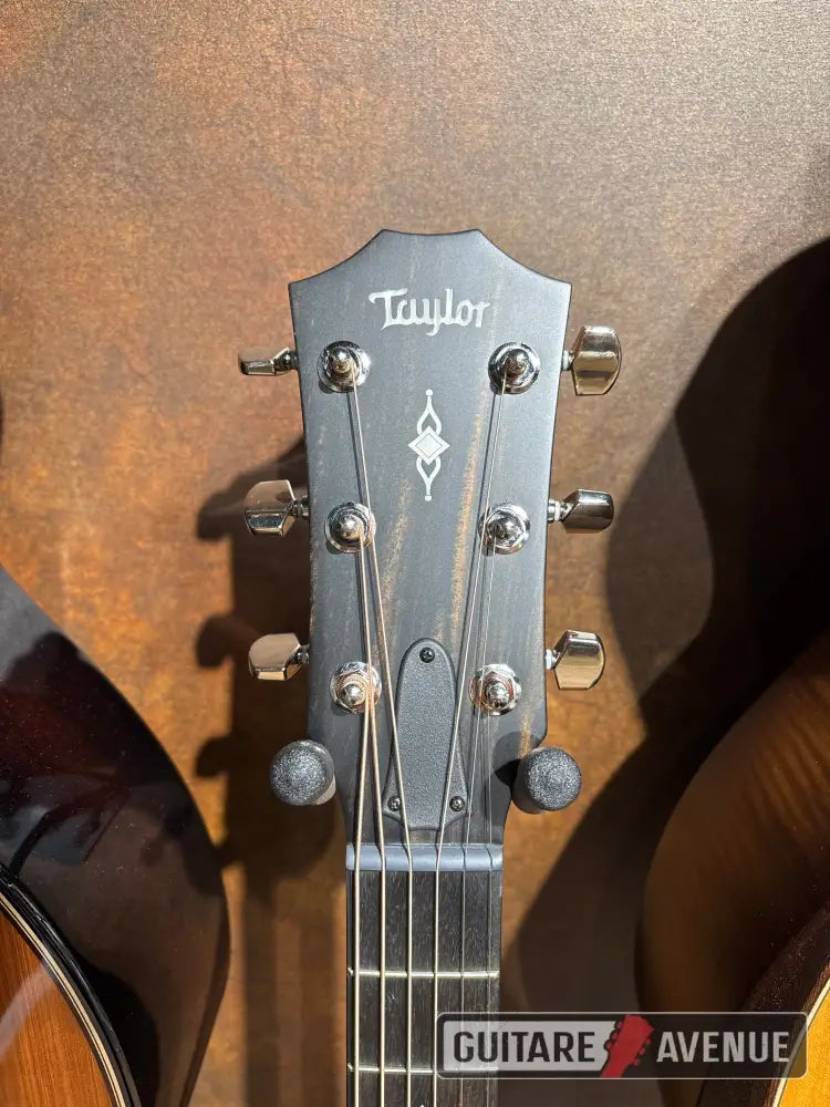 Taylor 314Ce Guitare Acoustique