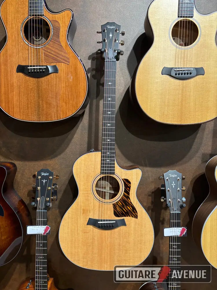 Taylor 314Ce Guitare Acoustique