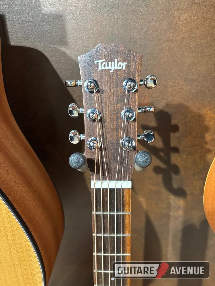 Taylor Bt1E Walnut Guitare Acoustique