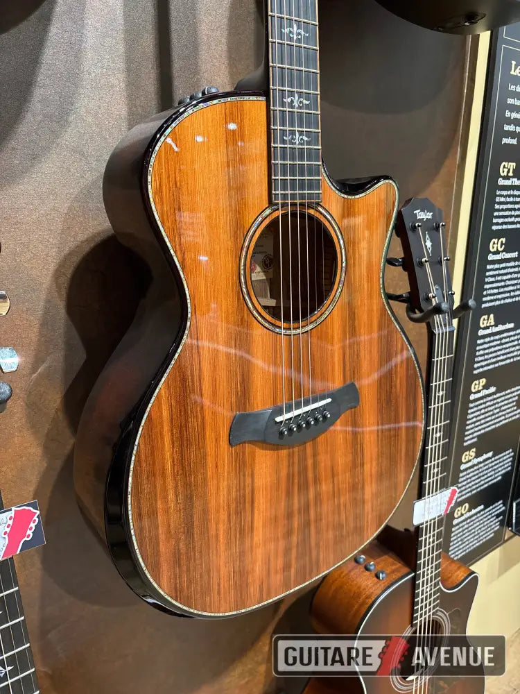 Taylor Builders Édition 914 Ce Guitare Acoustique