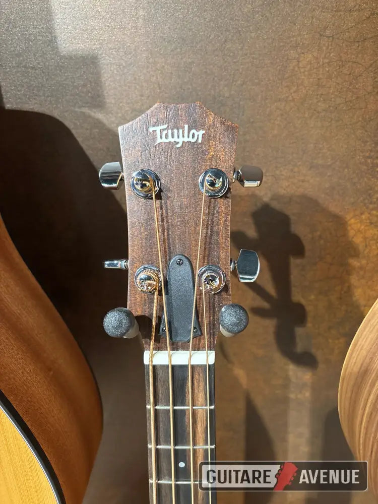 Taylor Gs Mini E Bass Guitare Acoustique